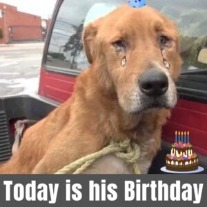 Today is Ray’s birthday—a day meant for joy, but one that carries a story touching enough