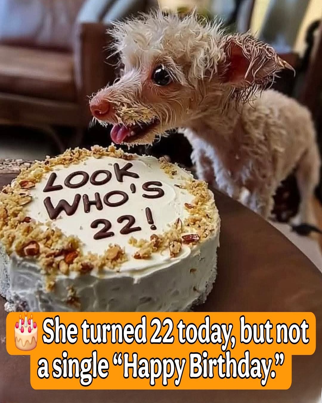 Today was Angie’s 22nd birthday... I spent the whole morning decorating the room — pink ba