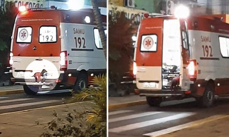 Faithful dog jumps into an ambulance to follow her sick owner to the hospital, insisting that they take her, too