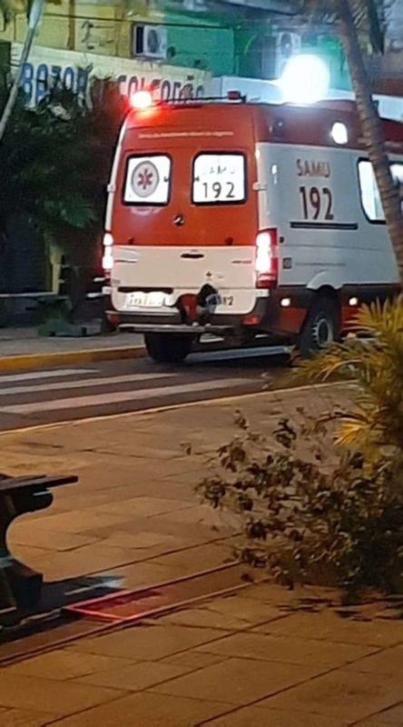 Faithful dog jumps into an ambulance to follow her sick owner to the hospital, insisting that they take her, too