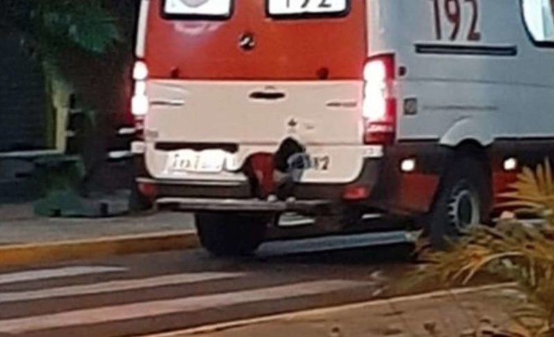 Faithful dog jumps into an ambulance to follow her sick owner to the hospital, insisting that they take her, too