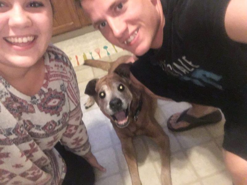 Couple adopted abandoned 17-year-old dog from animal shelter and they had a beautiful year together