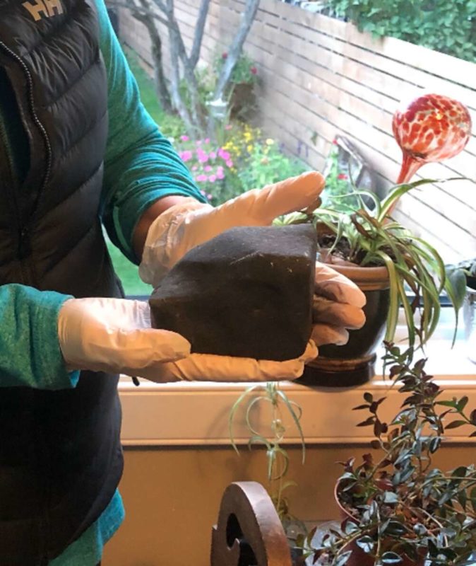 The dog wakes up the owner in the middle of the night a moment before the meteorite falls on her bed