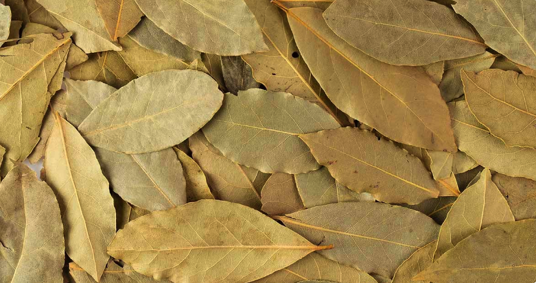 Amazing benefits of burning bay leaves