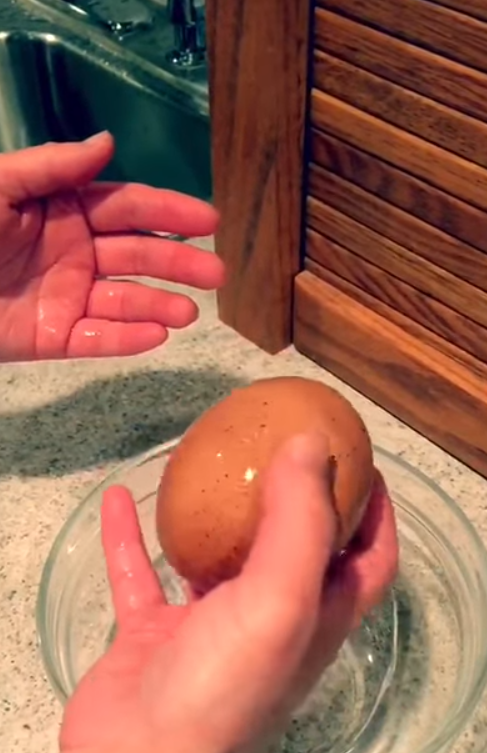 Farmer finds giant egg but what was inside was even more puzzling