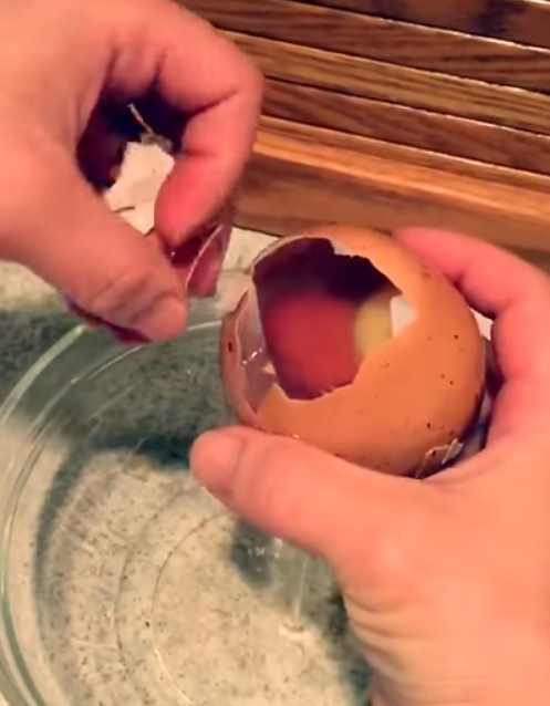 Farmer finds giant egg but what was inside was even more puzzling