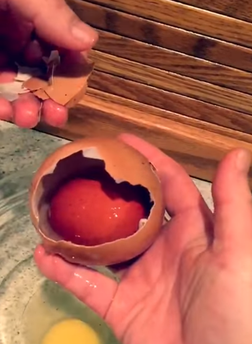 Farmer finds giant egg but what was inside was even more puzzling