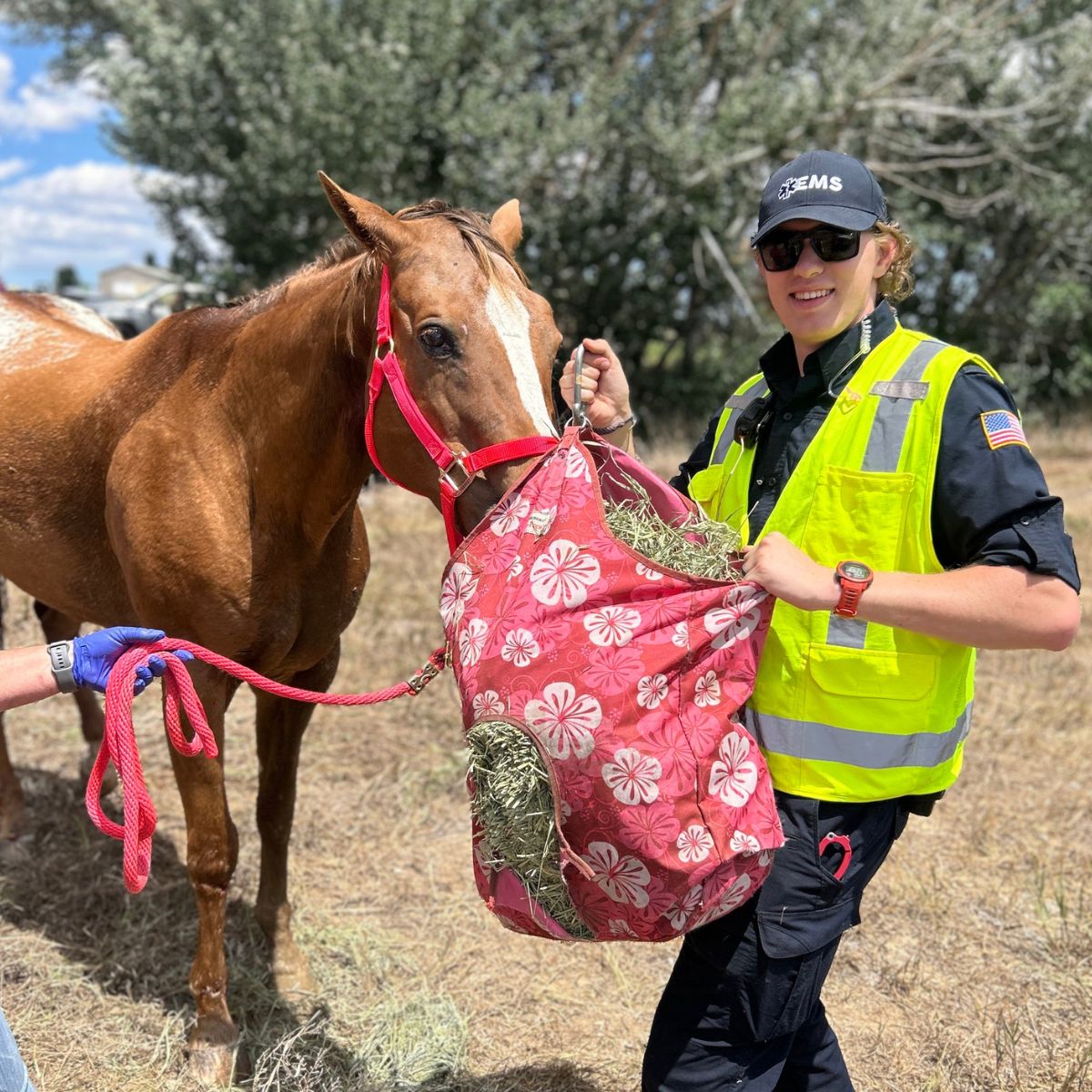 Heroic Colorado Firefighters Save Blind Horse From Drowning In Deep Water Canal Heroic Colorado Firefighters Save Blind Horse From Drowning In Deep Water Canal