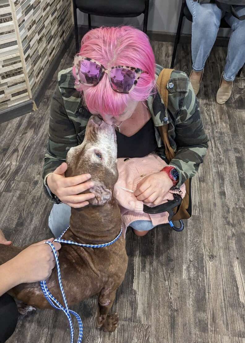 People Spot Dog Collapsed On Sidewalk And Realize She's Still Alive People Spot Dog Collapsed On Sidewalk And Realize She's Still Alive