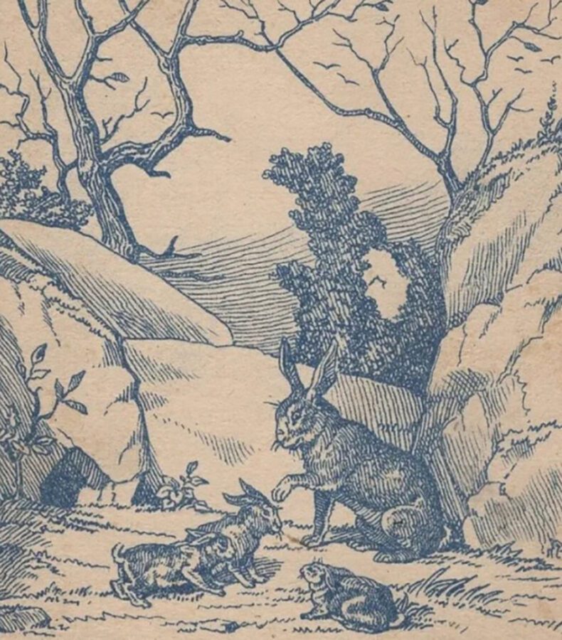 Only those with sharp eyes can detect where the hunter is hidden in 7 seconds. Only those with sharp eyes can detect where the hunter is hidden in 7 seconds.