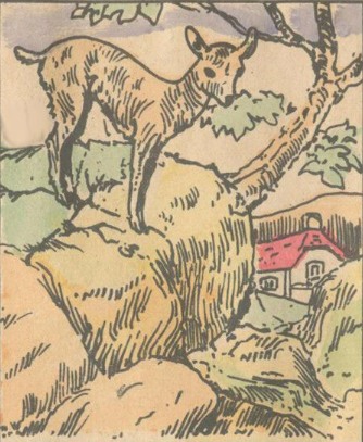 Sat all day still can not find the wolf. Sat all day still can not find the wolf.