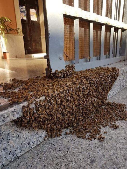 When you see something like this, don’t be afraid, When you see something like this, don’t be afraid,
