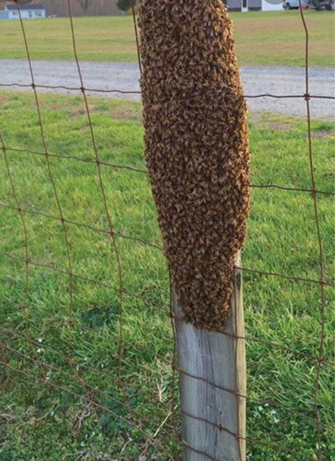 When you see something like this, don’t be afraid,