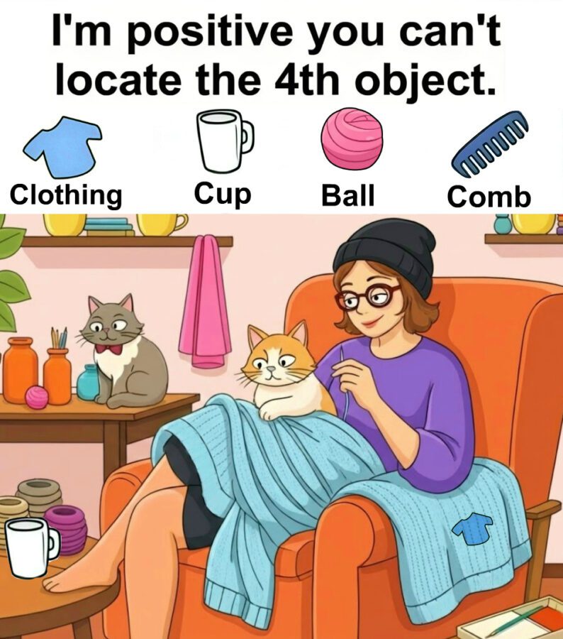 Find Clothing, Cup, Ball, Comb. Find Clothing, Cup, Ball, Comb.