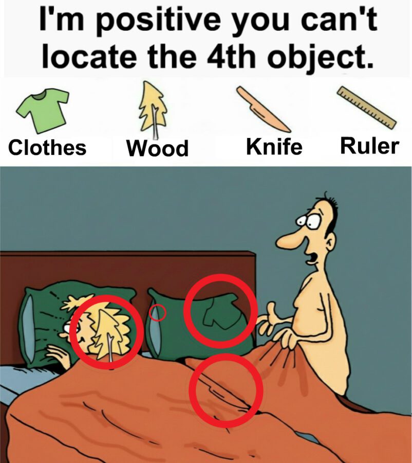 Bet You Can't Locate the Fourth Object: A Humorous Brain-Teasing Hidden Puzzle