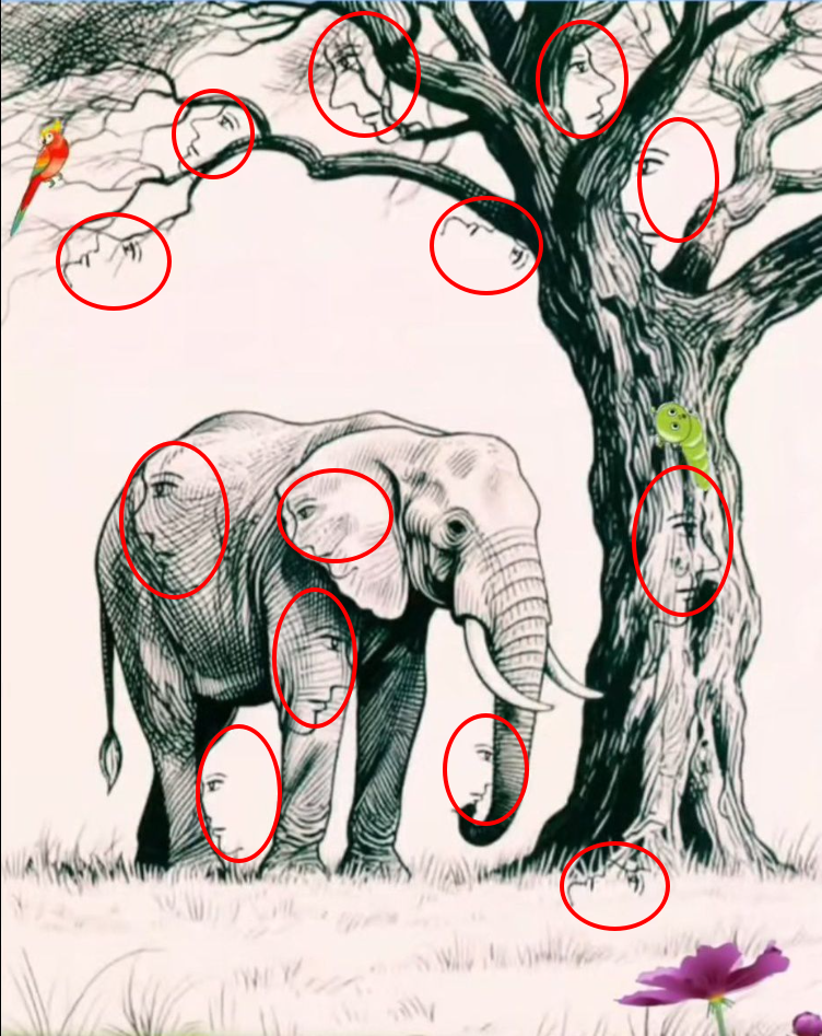 Only 2% of People Can Find All the faces in 17 seconds