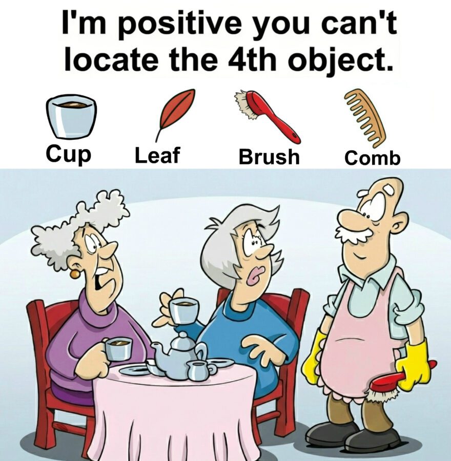 Find Cup, Leaf, Brush, Comb.