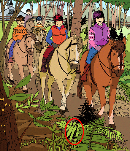 Children on Horseback: A Journey of Nature, Confidence, and Discovery