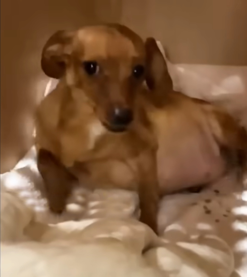 Saved from an Alcoholic, She Brought Up Happiness in a Family Full of Love!