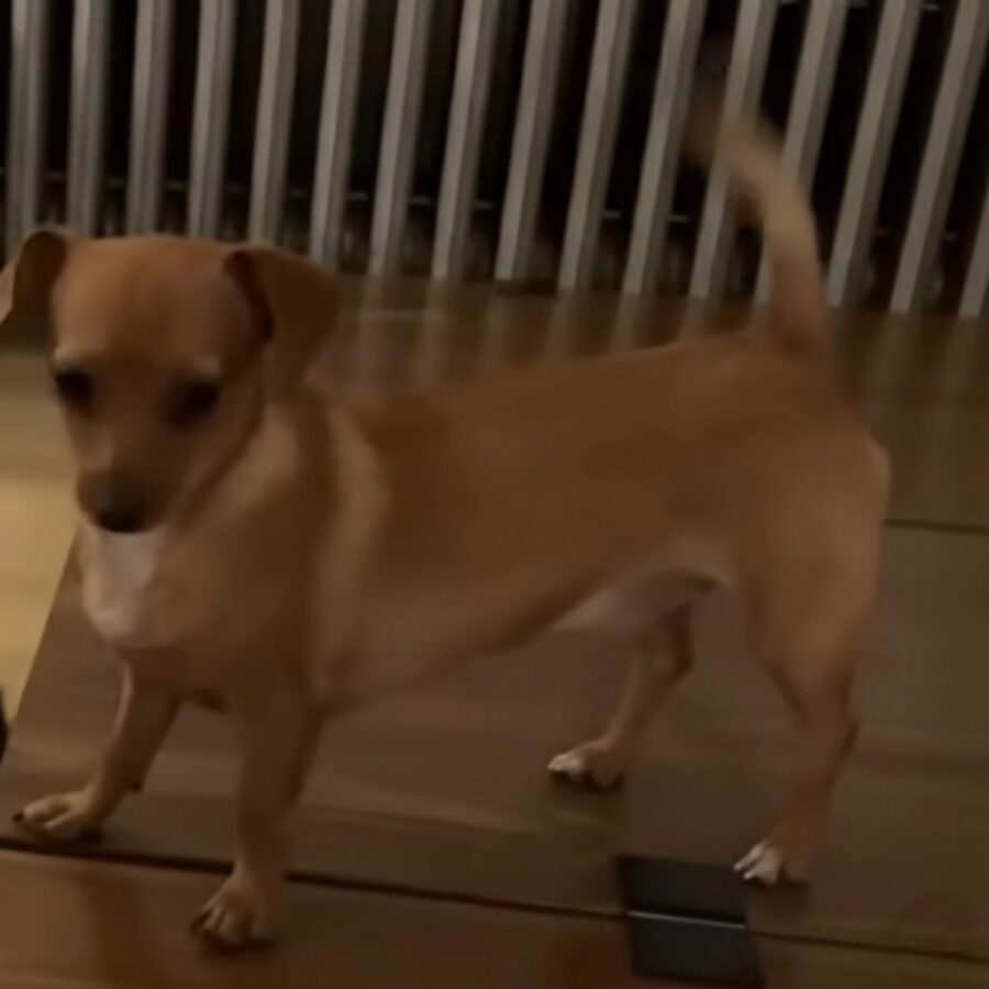 Saved from an Alcoholic, She Brought Up Happiness in a Family Full of Love!