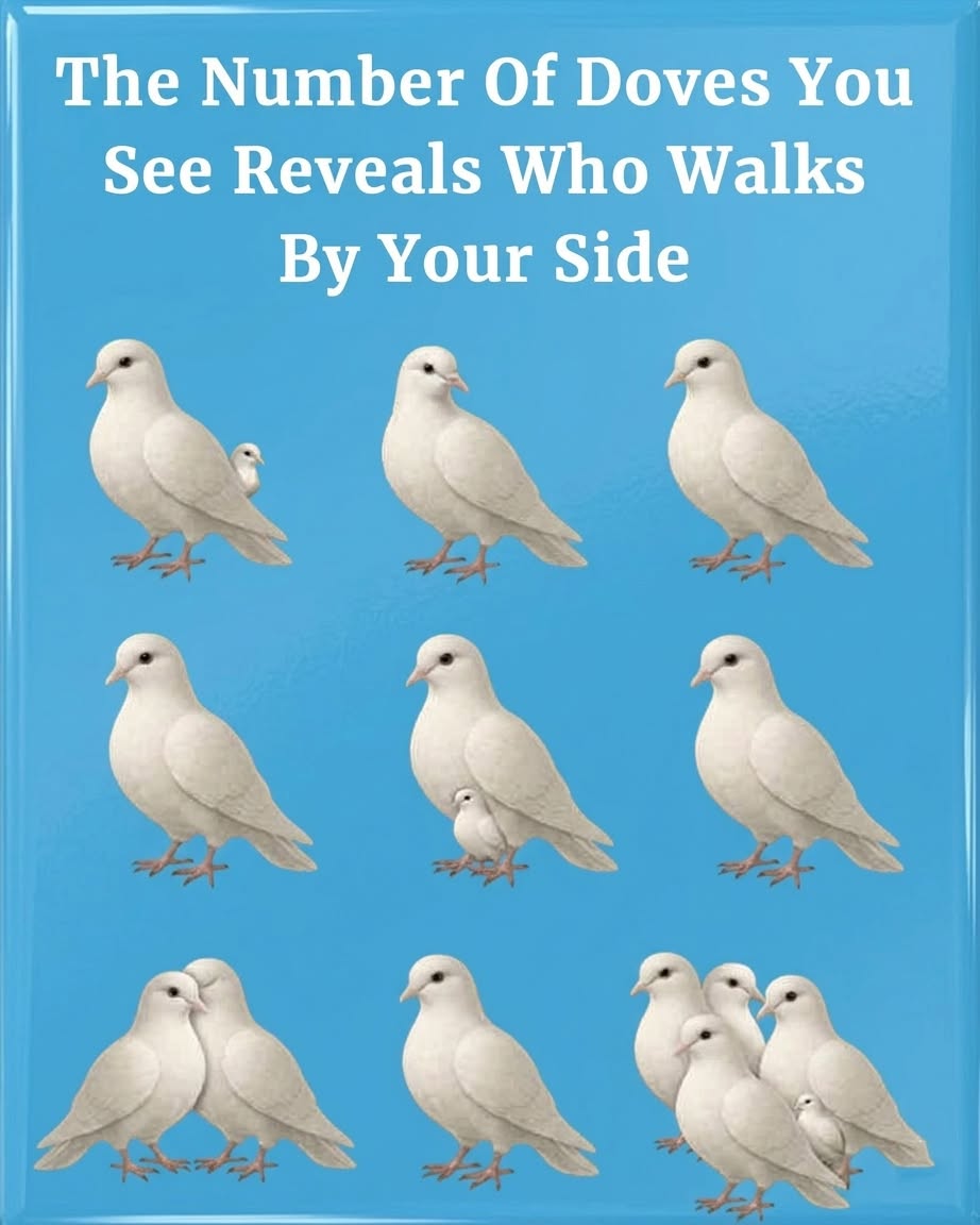 The Number Of Doves You See Reveals Who Walks By Your Side