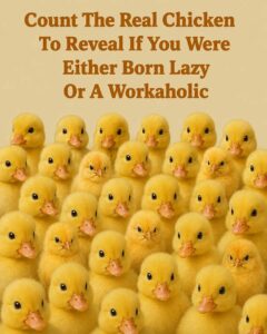 Count The Real Chicken To Reveal If You Were Either Born Lazy Or A Workaholic