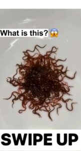 If you see this never touch it