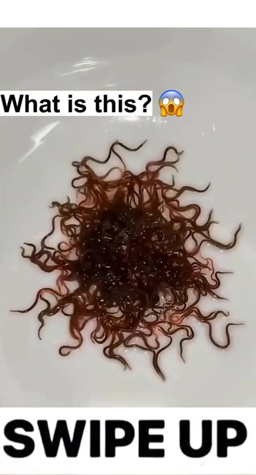 If you see this never touch it