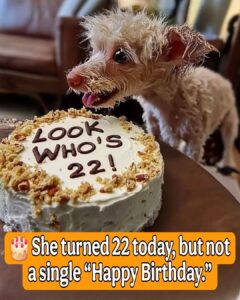 Today was Angie’s 22nd birthday... I spent the whole morning decorating the room — pink ba
