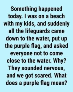 The Meaning Behind Purple Beach Flags and Why They Matter for Your Safety